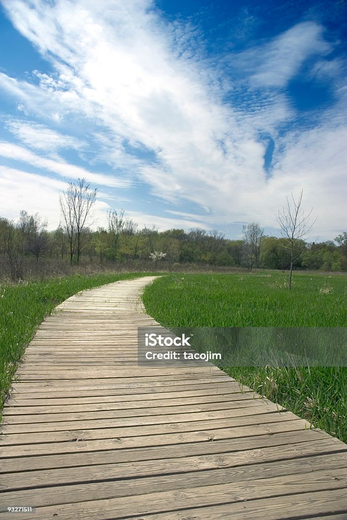 Boardwalk - Lizenzfrei Weg Stock-Foto