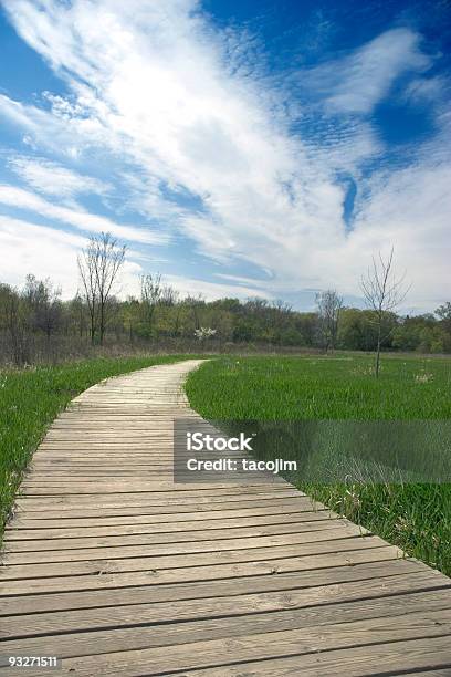 Boardwalk Stockfoto und mehr Bilder von Weg - Weg, Illinois, Aufnahme von unten