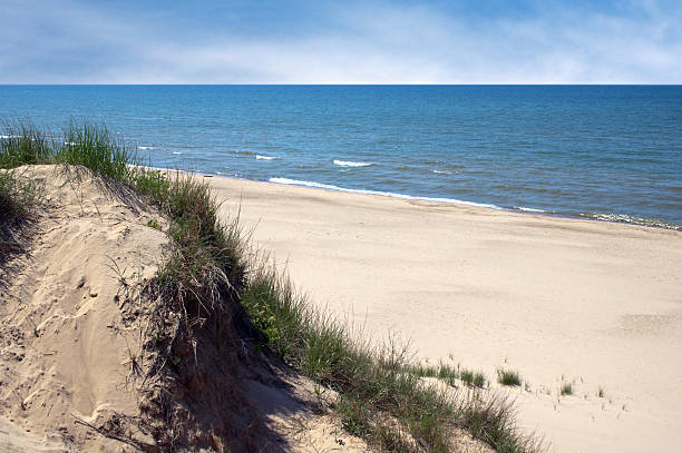 indiana dunes - sand beach sand dune sea oat grass foto e immagini stock