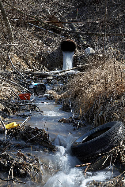 Stream in the woods covered with human waste Untreated waste water pours out into a littered stream behind a wildlife preserve fen photos stock pictures, royalty-free photos & images