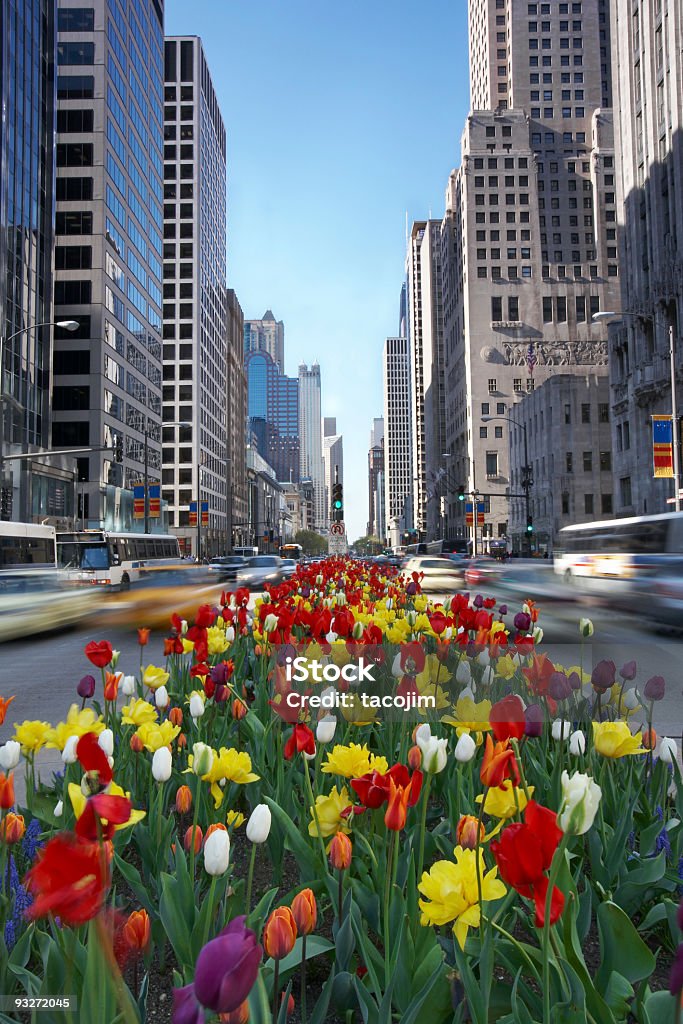 Grande cidade primavera - Foto de stock de Chicago - Illinois royalty-free