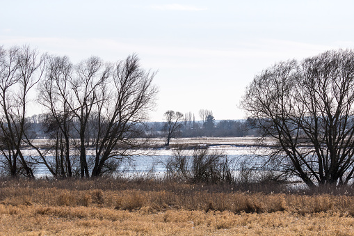 Scenery in the Elbaue near the city of Boizenburg in Mecklenburg Western Pomerania