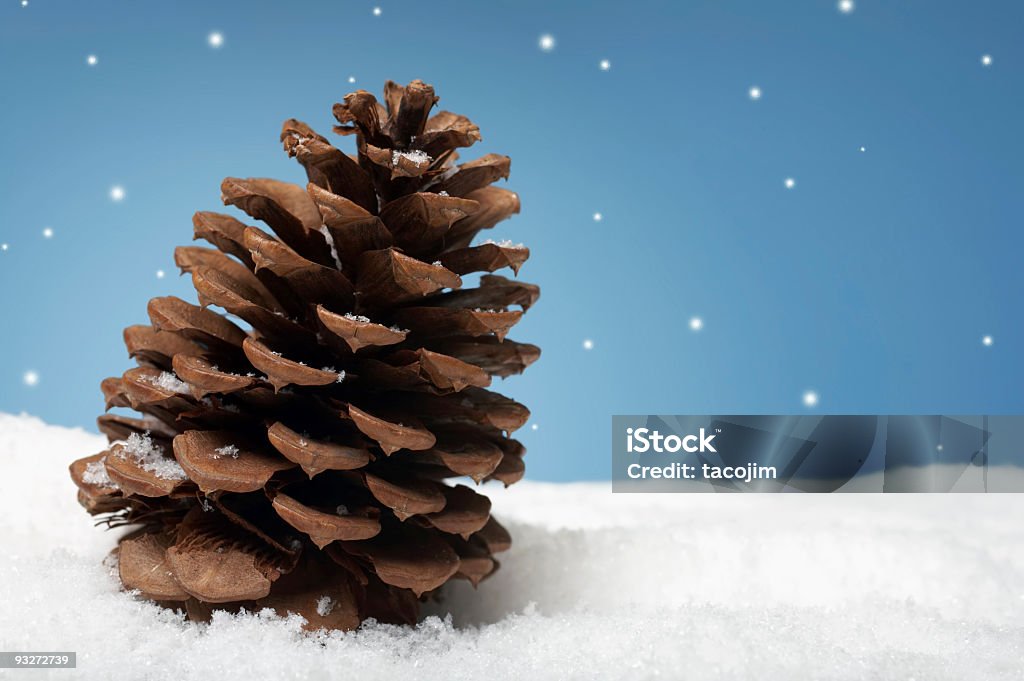 Рождество Pinecone - Стоковые фото Снег роялти-фри