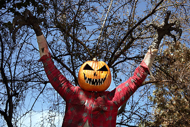 istock Creepy Halloween Scarecrow 93272819