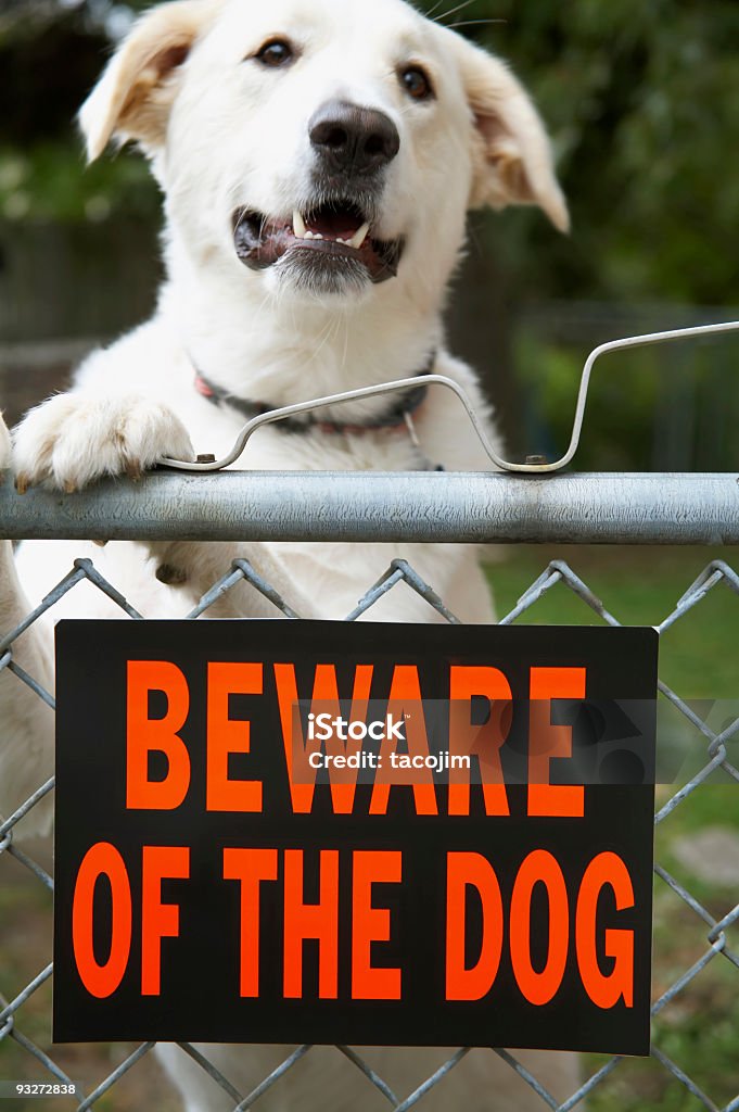 De cuidado con el perro - Foto de stock de Cartel de Cuidado con el perro libre de derechos