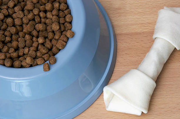 istock Bowl of Dog Food 93272876