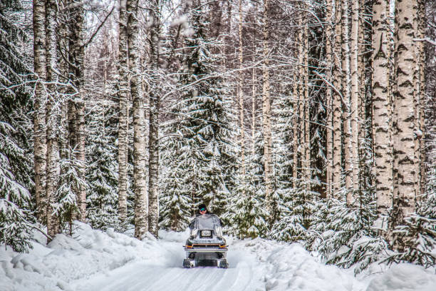istock A man is riding a snowmobile in the winter forest 932728962