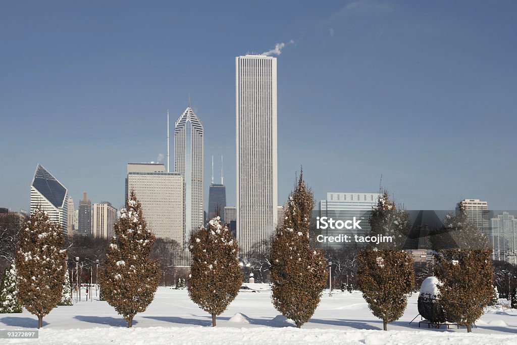 Chicago no Inverno - Royalty-free Millennium Park - Chicago Foto de stock