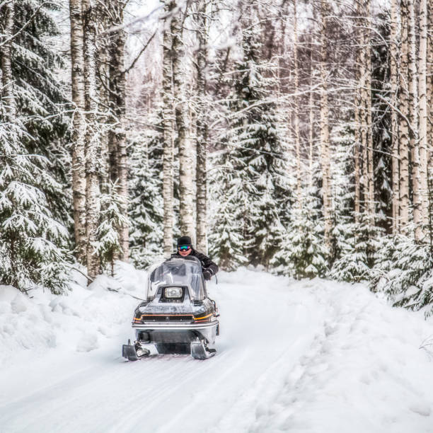 A man is riding a snowmobile in the winter forest