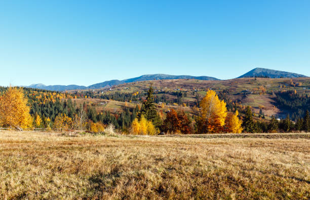 istock Autumn Carpathian village, Ukraine. 932729164