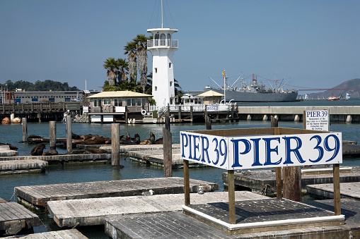 Sea lions at Pier 39 in SF, CA, USASea lions at Pier 39 in SF, CA, USA