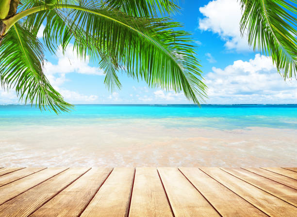 Coconut palm trees against blue sky and beautiful beach in Punta Cana, Dominican Republic. Vacation holidays background wallpaper. View of nice tropical beach.