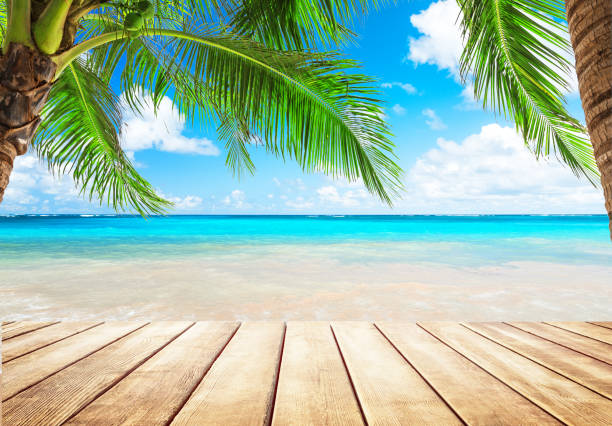 istock Coconut palm trees and blue sky and sea 932735332