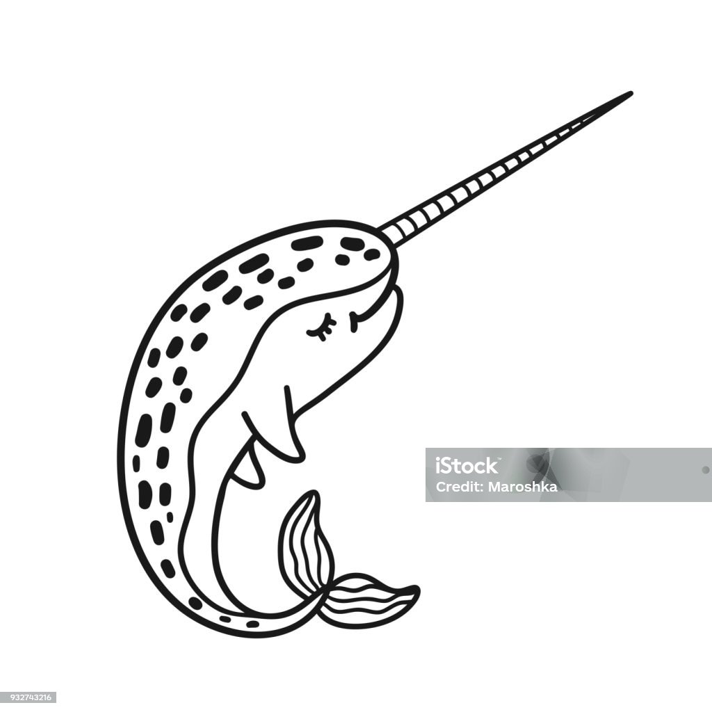 Hand drawn cartoon funny narwhal. Hand drawn cartoon funny narwhal. Nursery unicorn of sea. Vector illustration isolated on white background. Animal stock vector