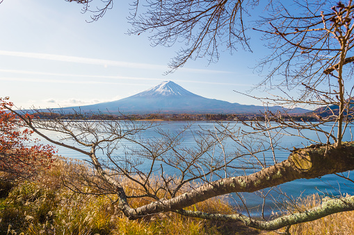 Fuji mountain and Kawaguchiko lake in morning, Autumn seasons Fuji mountain at yamanachi in Japan.