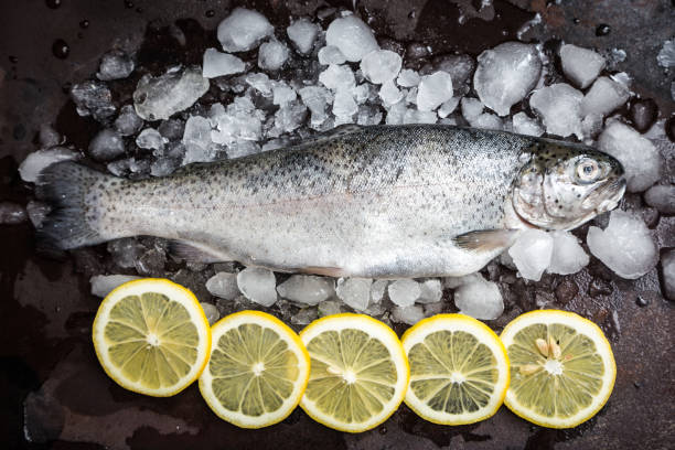 istock fresh fish. Trout with  lemon and spices on dark background. Cooking fish with herbs thyme. 932743584