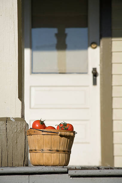 monte de tomate - tomato basket farm bushel - fotografias e filmes do acervo