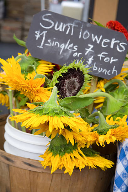 istock Farmer's Market 93274669