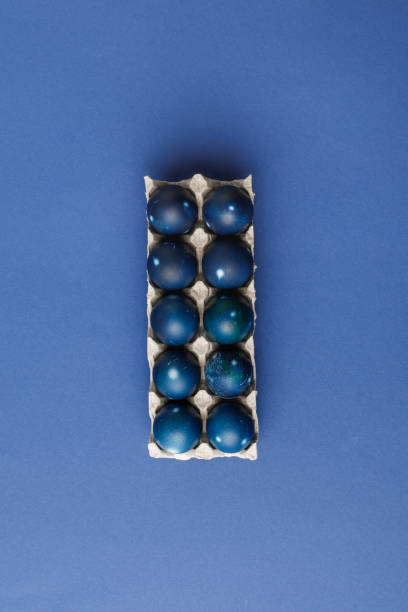 istock top view of blue painted easter eggs in egg tray on blue surface 932746828