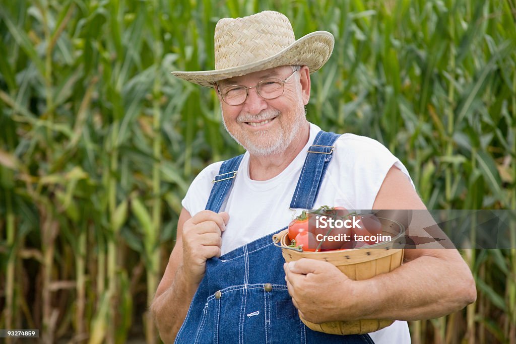 Agricultor e suas culturas - Foto de stock de 60 Anos royalty-free