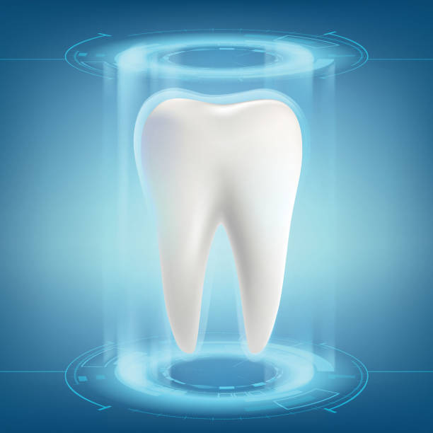 illustrations, cliparts, dessins animés et icônes de dent humaine. implant dentaire. - dentition humaine