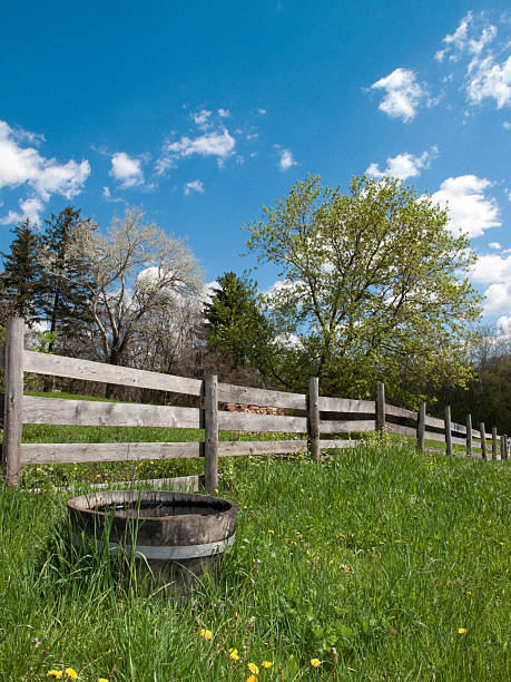 beau printemps dans l'illinois - schaumburg photos et images de collection