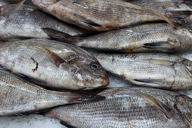 istock fresh caught dorado on a fish market 93276284