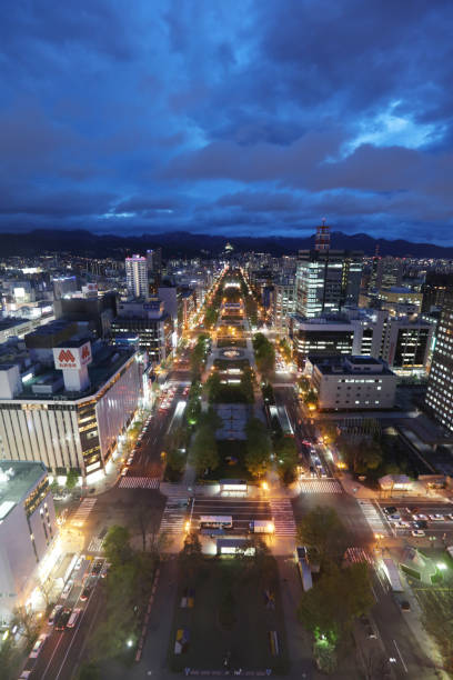 istock Panoramic cityscape view of southern Sapporo 932764112