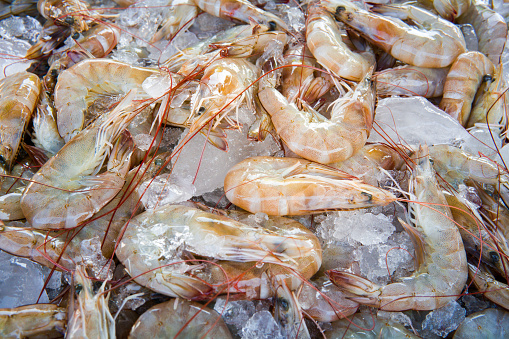 An outdoor market Fishmonger stall sells freshly caught prawns (Penaeus).  Prawns are the most eaten Crustacean in the world.  They are either bred in prawn farms or bottom trawled by fishing boats.  Both methods of catching are highly controversial as they have a detrimental impact on the environment.  The location is the island of Ko Lanta, Krabi, Thailand, where fishing and shellfish harvesting are not only an occupation for many people, but a way of feeding their families.