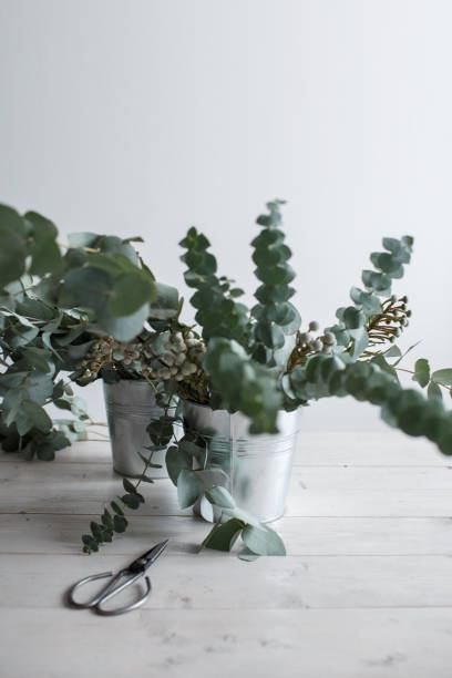 istock Eucalyptus branches in buckets on a wooden table 932768736