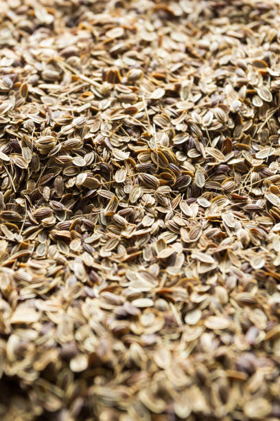 istock Organic seeds for natural farming. 932771496