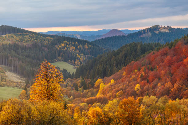 istock Wooded hills, forests in autumn colors. 932775002