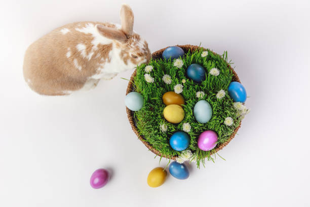 istock Top view of bunny near basket with grass and eggs, easter concept 932775124