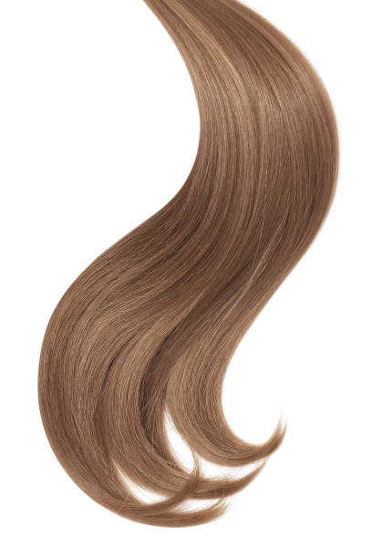 istock Curl of natural hair on a white background 932778966