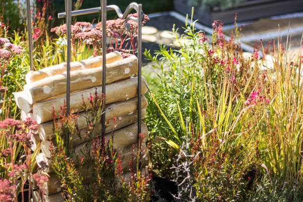 istock Garden decoration and design, green plants. 932778998