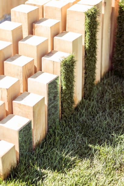 istock Garden decoration and design, green plants. 932779000