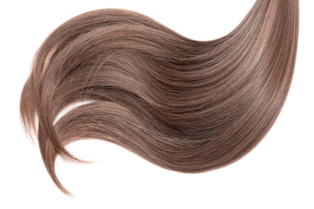 istock Curl of natural hair on a white background 932779034
