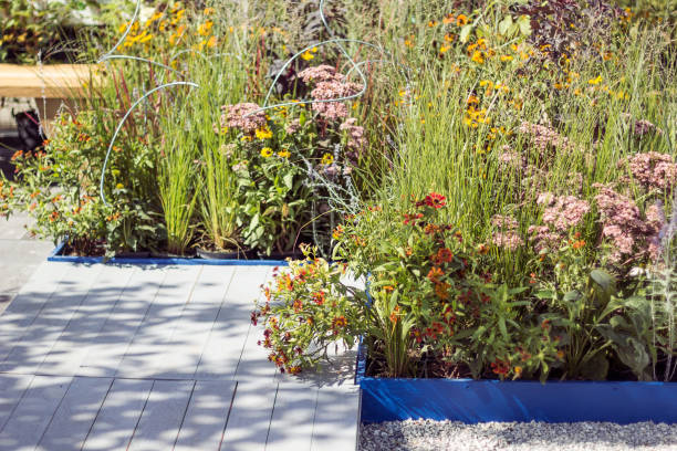 istock Garden decoration and design, green plants. 932779036