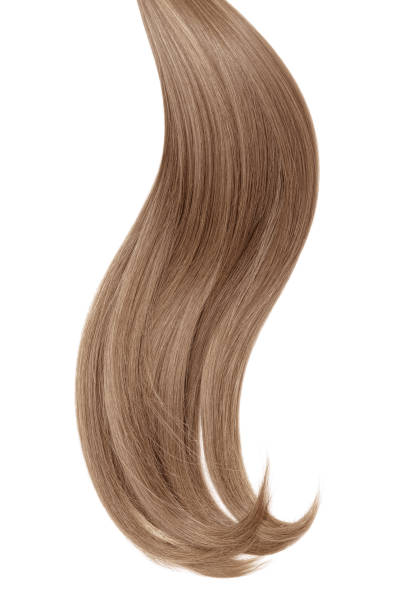 istock Curl of natural hair on a white background 932779056