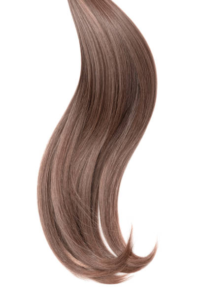 istock Curl of natural hair on a white background 932779064