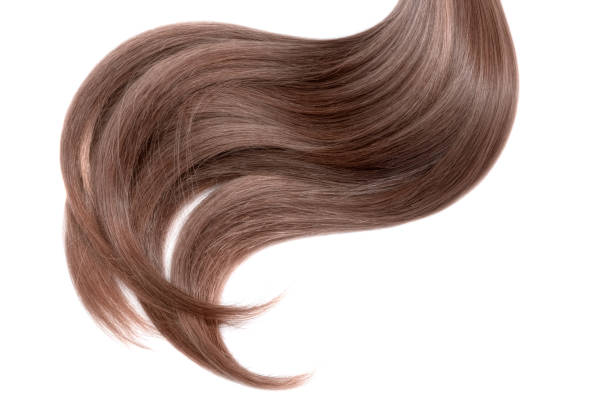 istock Curl of natural hair on a white background 932779082
