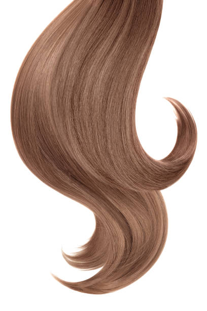 istock Curl of natural hair on a white background 932779108