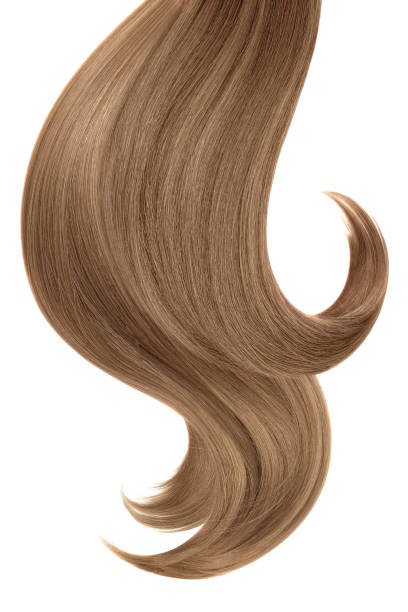 istock Curl of natural hair on a white background 932779112