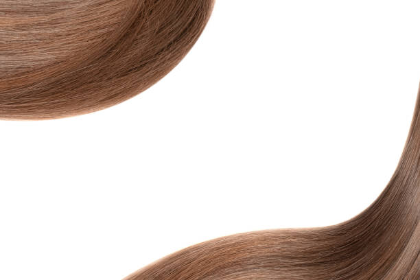istock Curl of natural hair on a white background 932779334