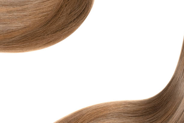 istock Curl of natural hair on a white background 932779340