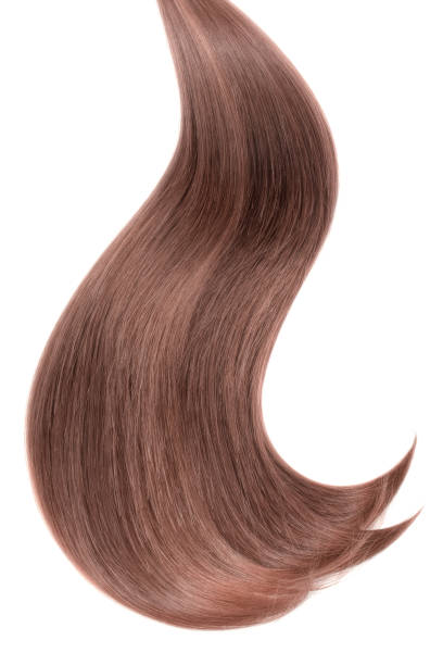istock Curl of natural hair on a white background 932779368