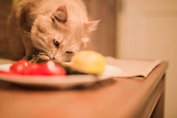 istock Careless cat eating fish on a domestic table 932783222