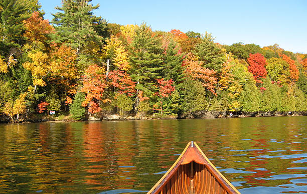 istock Canoe on a lake in Autumn 93278770