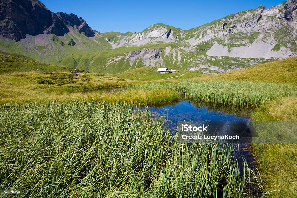 Teich - Bergsee - Mecklenburg-Vorpommernのロイヤリティフリーストックフォト