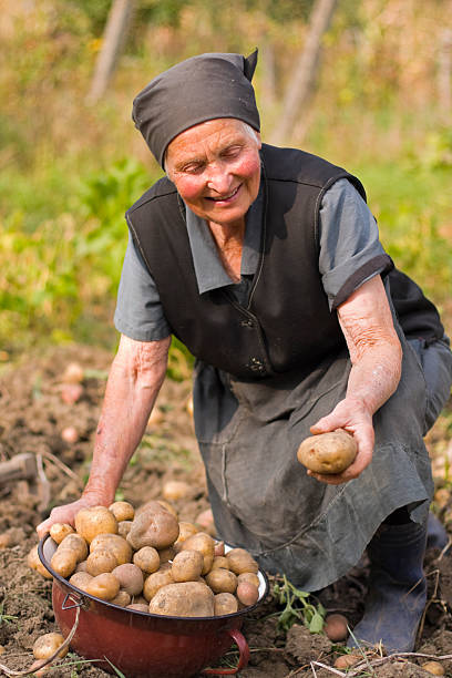 istock Elderly woman working outdoors 93279390